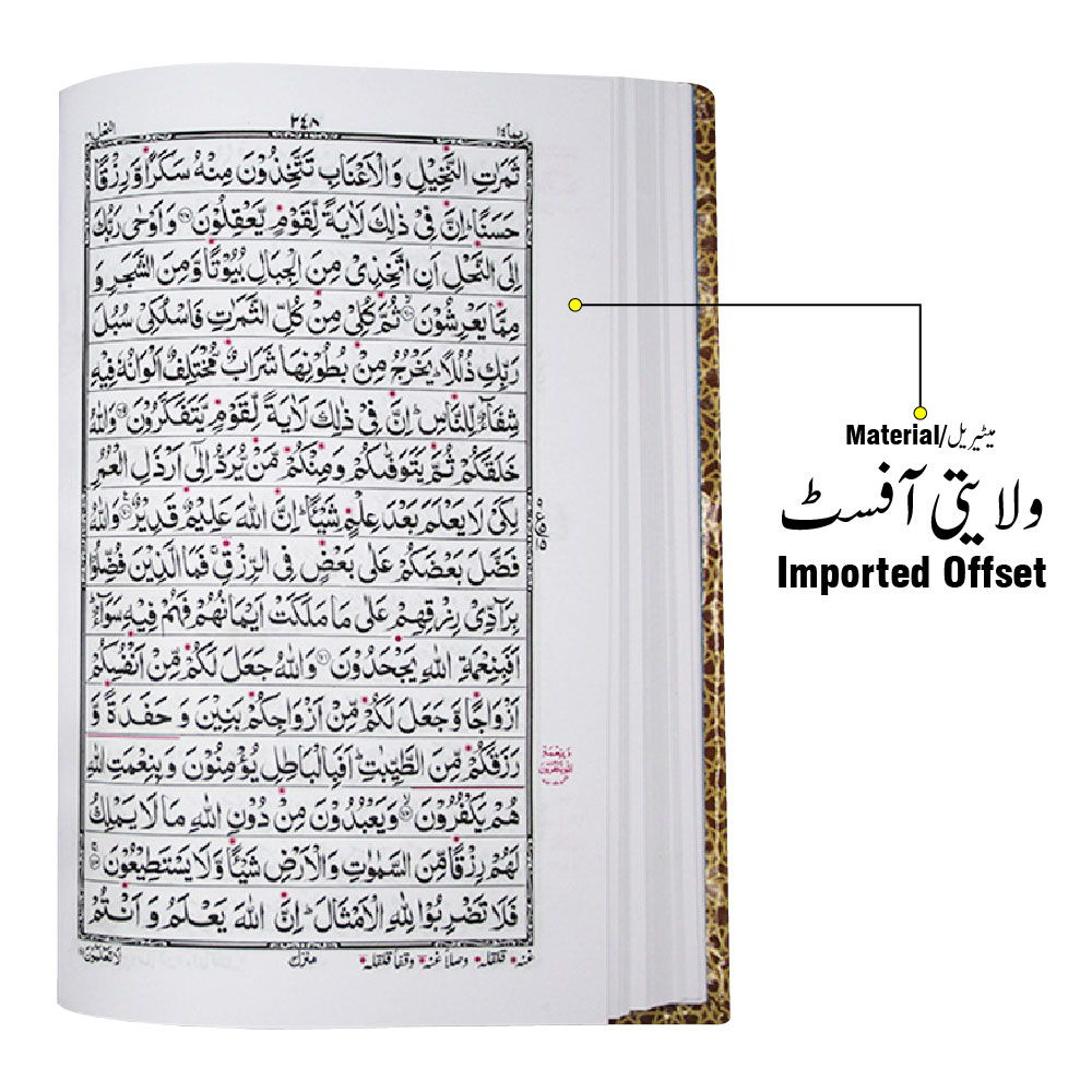 876-2L Holy Quran Tajweedi