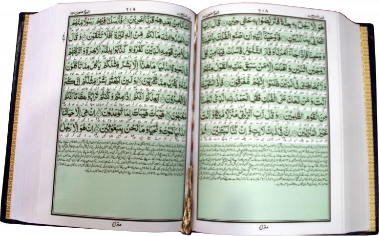 279U Holy Quran Translated