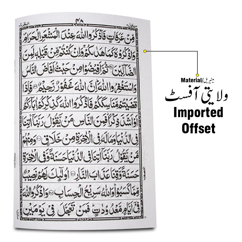 376-30CA 30 Paras Set Complete Quran Juz 11 Line Bold Font Persian Script (With Fabric Carry Case)