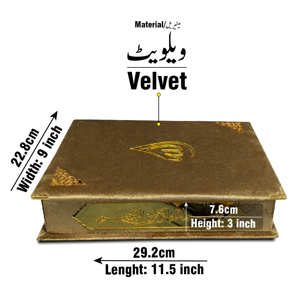 B55V1-GOLD Gold Velvet Binded Box Only